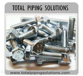 Manufacturer & suppliers of ASTM F593 SS 321H Fasteners